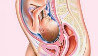 كيف تكون وضعية الجنين في الشهر الثامن