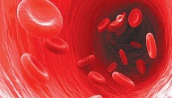 ماهي امراض الدم الخطيره
