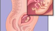 صحة الجنين في الشهر الثالث