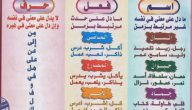قواعد اللغة العربية للمبتدئين
