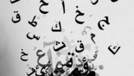 تعلم قواعد اللغة العربية بسهولة