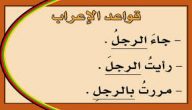 قواعد اللغة العربية والاعراب