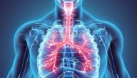 بحث حول امراض الجهاز التنفسي