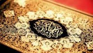 كم عدد الصحابة الذين ذكروا في القرآن