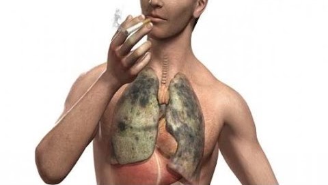 تأثير المخدرات على الجهاز التنفسي