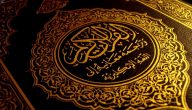 الحكم والأمثال في القرآن الكريم