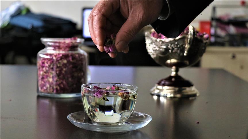 شاي الورد التركي