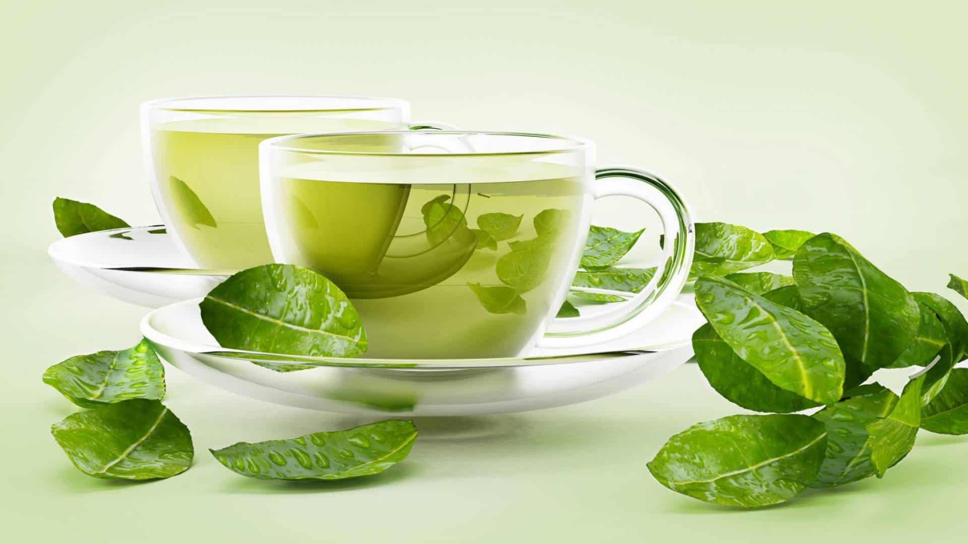 فوائد الشاي الأخضر للرجيم قبل النوم