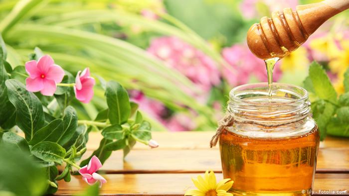 فوائد عسل النباتات الطبية