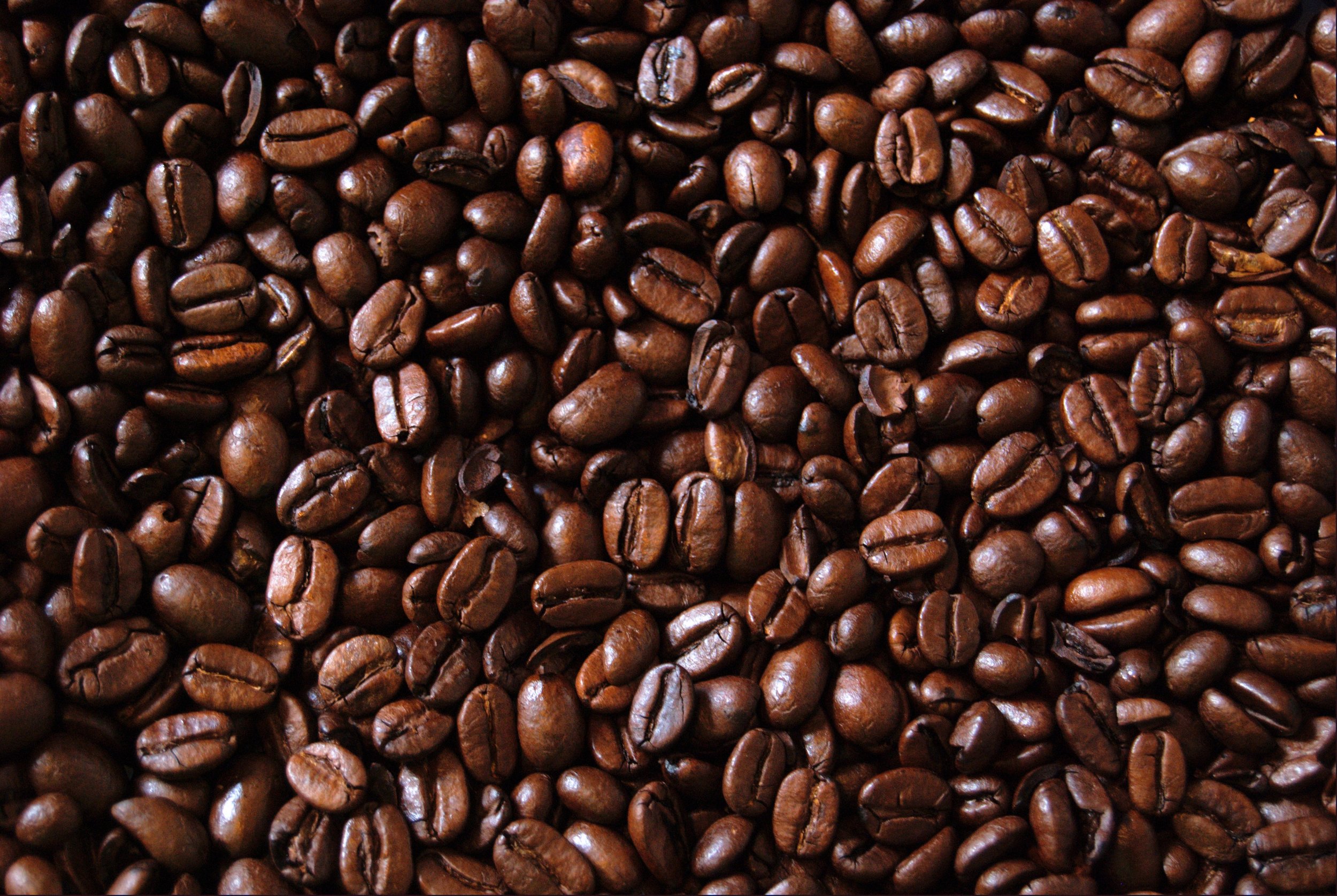أفضل أنواع حبوب القهوة في العالم