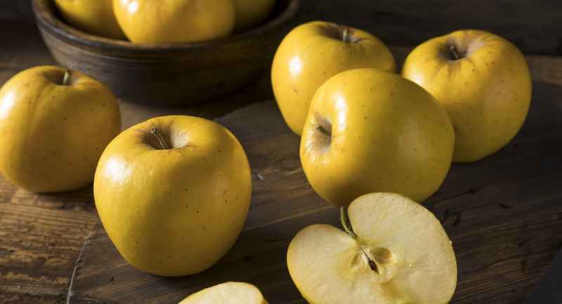 فوائد التفاح الأصفر للحامل