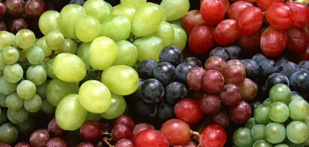 أجود أنواع العنب في العالم