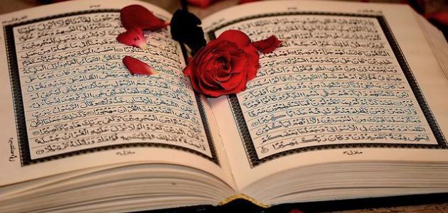 شروط الزواج في الإسلام