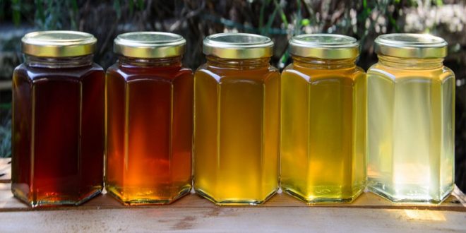أفضل أنواع العسل لزيادة الخصوبة مفهرس