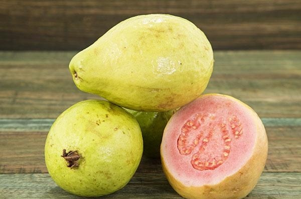 فوائد الجوافة للبرد