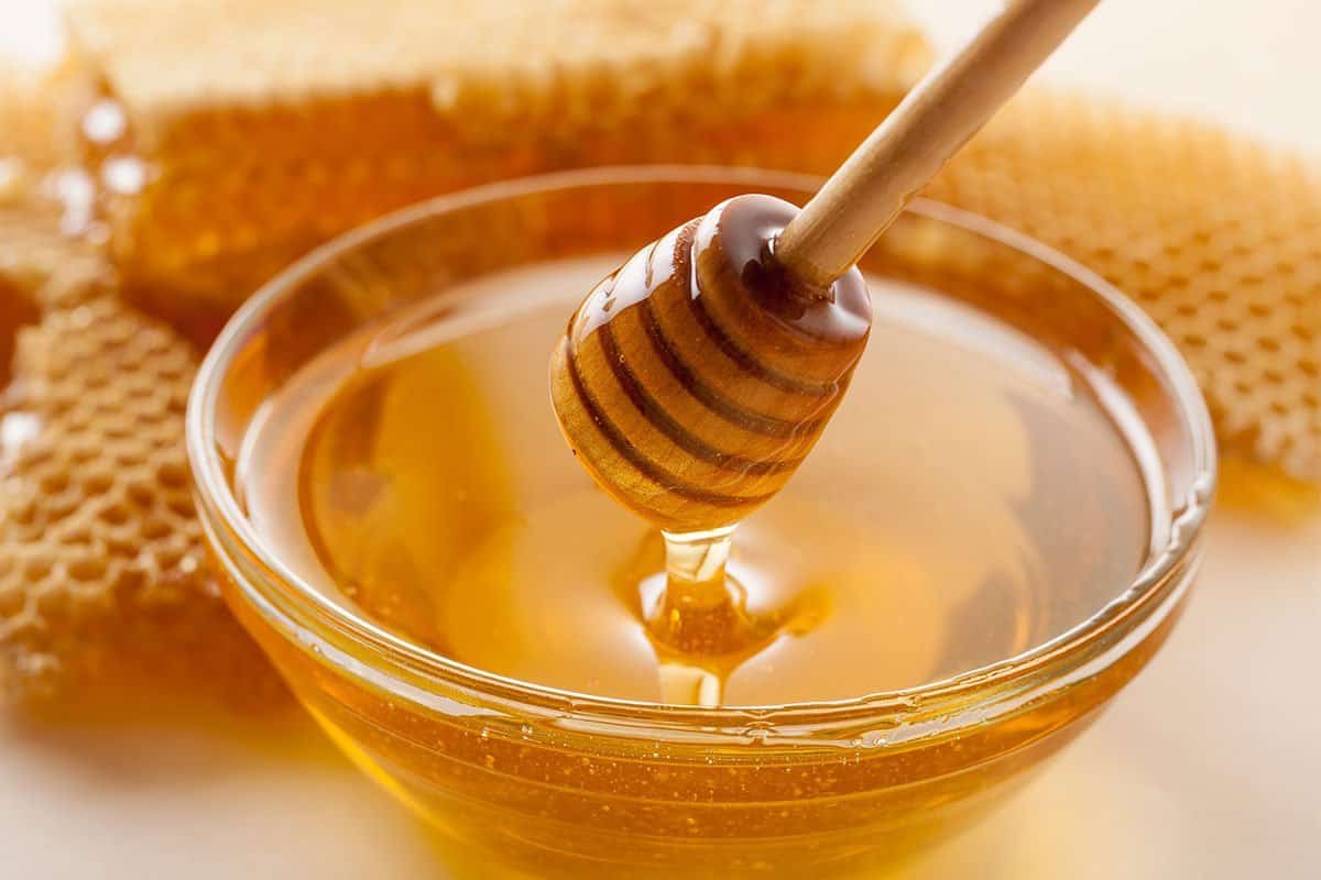 فوائد عسل الصال للمعدة