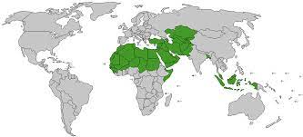 كم يبلغ عدد الدول الإسلامية في أمريكا اللاتينية