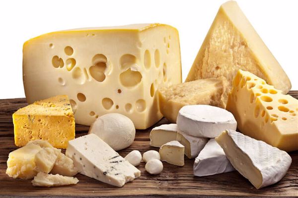 أفضل أنواع الجبن في العالم - مفهرس