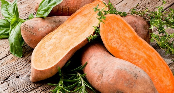 فوائد البطاطا الحلوة للقولون مفهرس