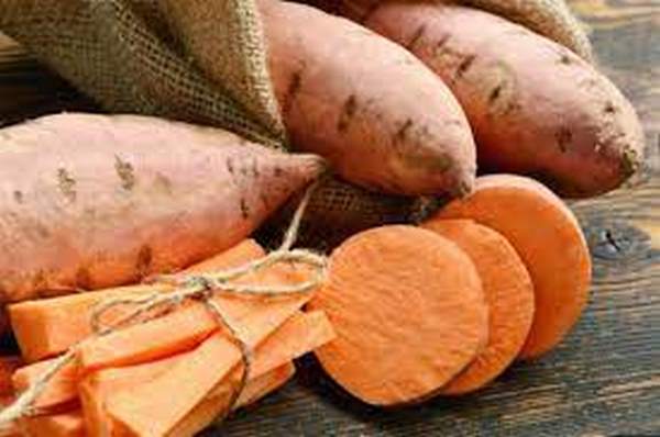 فوائد البطاطا الحلوة للقولون مفهرس