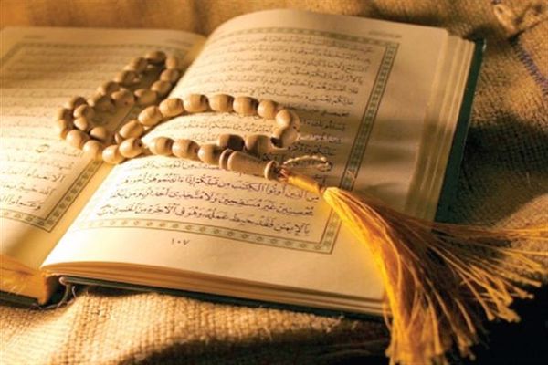 آيات الزرع في القرآن