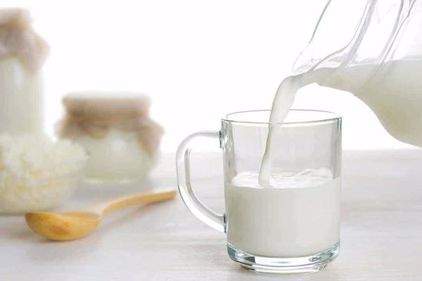 فوائد شرب الحليب البارد للامساك - مفهرس