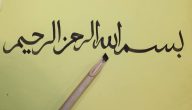 أهمية اللغة العربية ومميزاتها