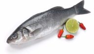 الفرق بين سمك القاروص والسيباس