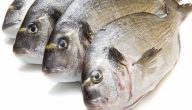 القيمة الغذائية لسمك الدنيس
