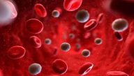ما هو عدد كريات الدم الحمراء في الشخص الطبيعي