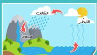 ما هي مراحل دورة الماء