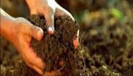 دور الكائنات الحية في زيادة خصوبة التربة