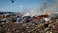أضرار حرق النفايات على البيئة