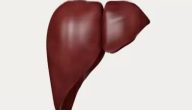 ما هي علامات قصور الكبد