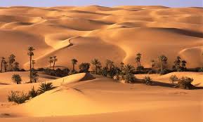 موضوع قصير بالانجليزي عن الصحراء