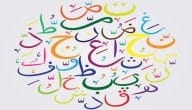 عبارات عن اليوم العالمي للغة العربية